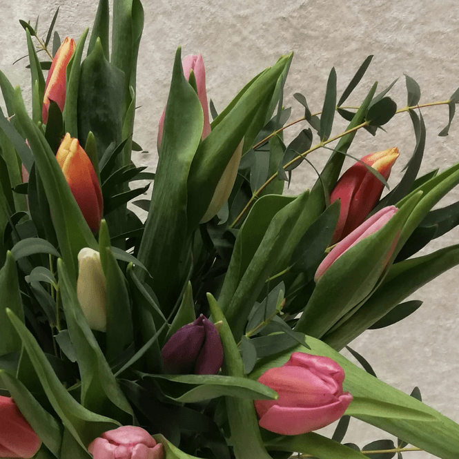 Hovedbilde Tulipanbukett