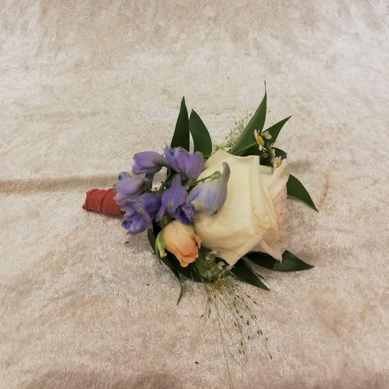 Knapphullsblomst